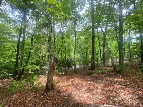 Bald Eagle Lane, Marion, NC 28752 photo 11
