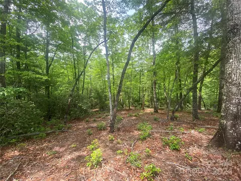 Bald Eagle Lane, Marion, NC 28752 photo 12