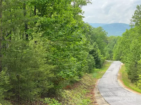 Bald Eagle Lane, Marion, NC 28752 photo 9
