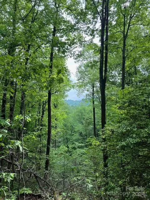 Pacolet Street, Saluda, NC 28773