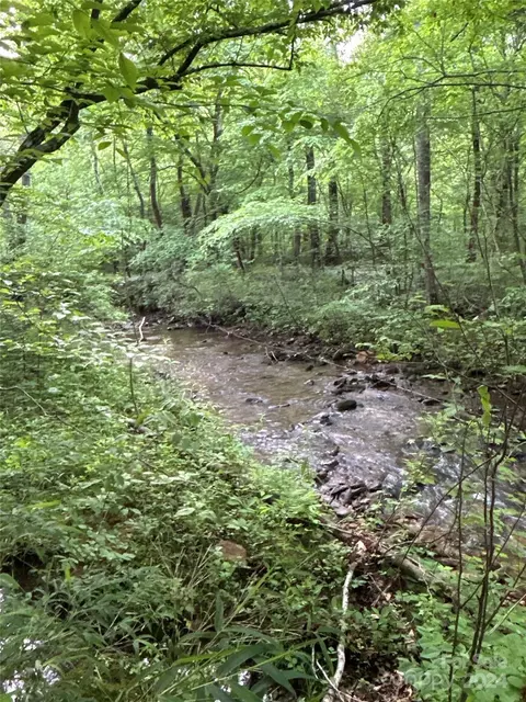 00 Pheasant Creek Rd, Casar, NC 28020