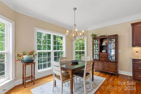 10151 Alabaster Dr, Davidson, NC 28036 photo 13