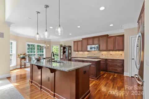 10151 Alabaster Dr, Davidson, NC 28036 photo 14