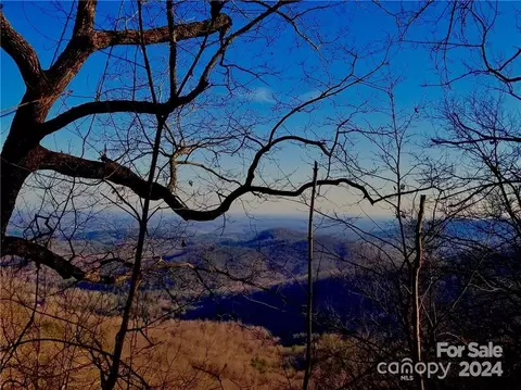 000 Martha Lynns Ln, Lake Lure, NC 28746