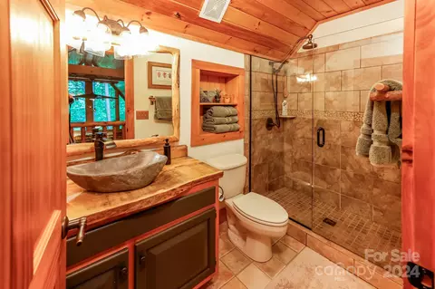 Bath - 100 Spruce Pine Ln, Mill Spring, NC 28756 photo 3 of 3