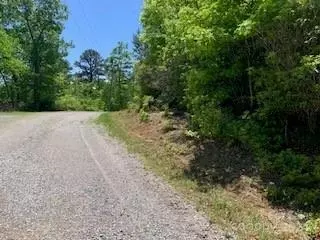 Rhododendron 742 Drive #742, Old Fort, NC 28762