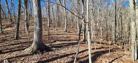 0 Fox Den 110 Rd #110, Mars Hill, NC 28754