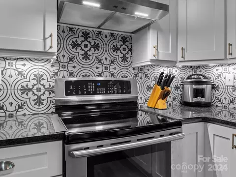 653 Concord Rd, Davidson, NC 28036 photo 5