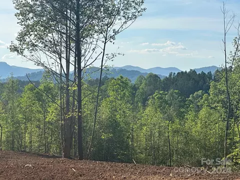 0000 Clark Rd, Rutherfordton, NC 28139