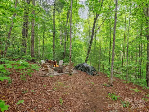 Exterior - 2 Pheasant Dr, Fairview, NC 28730 photo 6 of 7