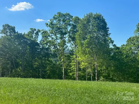 0000 Lake Adger Rd, Mill Spring, NC 28756 photo 2