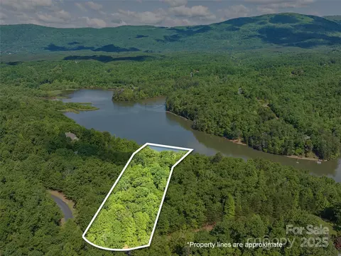Lake Adger Parkway, Mill Spring, NC 28756 photo 4