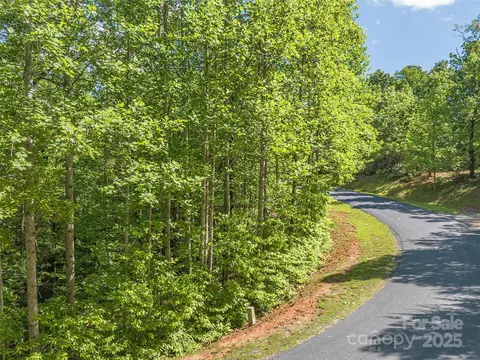 Lake Adger Parkway, Mill Spring, NC 28756 photo 9