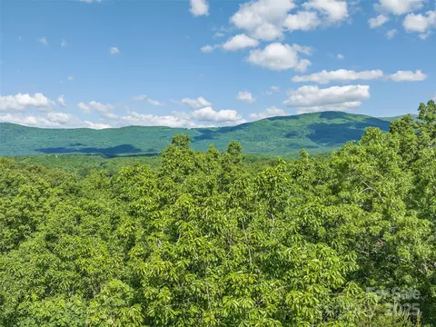 Lake Adger Parkway, Mill Spring, NC 28756 photo 12