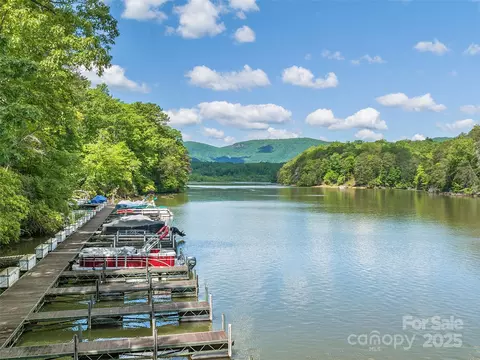 Lake Adger Parkway, Mill Spring, NC 28756 photo 11