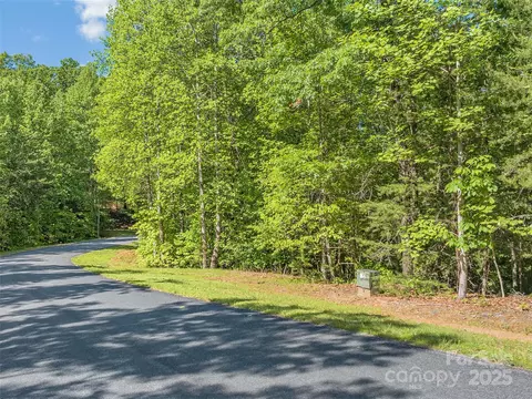 Lake Adger Parkway, Mill Spring, NC 28756 photo 8