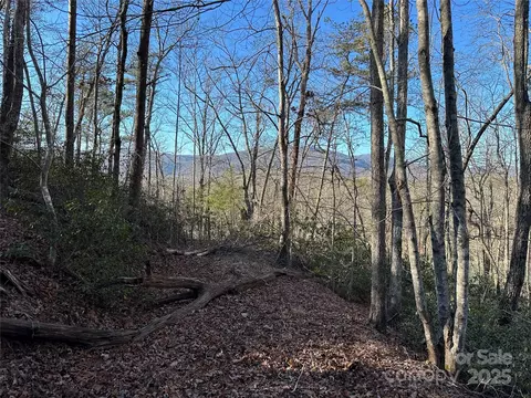 Lake Adger Parkway, Mill Spring, NC 28756 photo 2