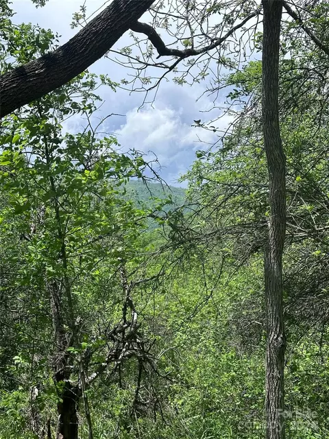0000 Wayward Cv, Clyde, NC 28721 photo 6