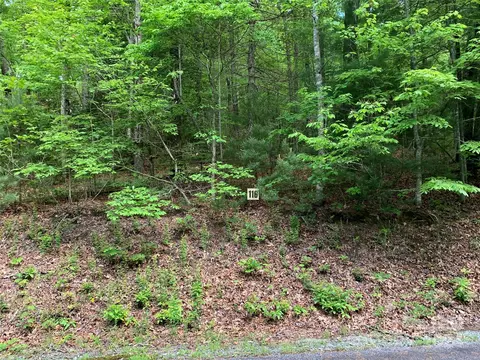 Green Hollow Lane, Brevard, NC 28712