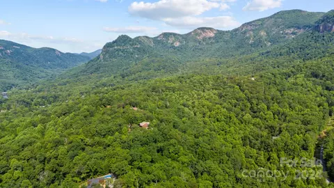 Mintwood Court, Lake Lure, NC 28746