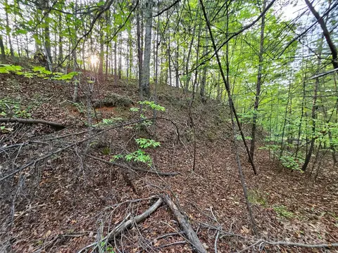 Parkway North Road, Mill Spring, NC 28756 photo 22