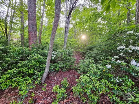 Parkway North Road, Mill Spring, NC 28756 photo 17