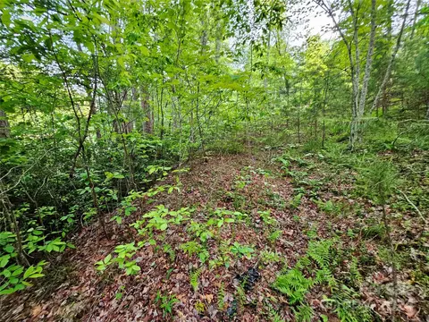 Parkway North Road, Mill Spring, NC 28756 photo 18