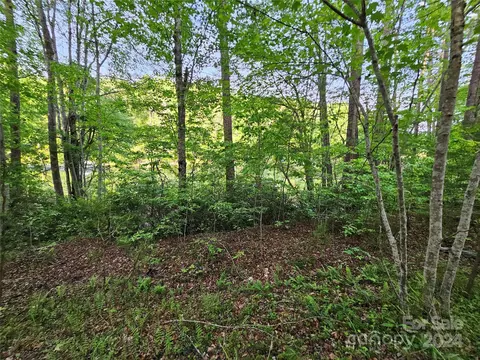 Parkway North Road, Mill Spring, NC 28756 photo 23