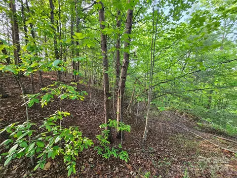 Parkway North Road, Mill Spring, NC 28756 photo 29