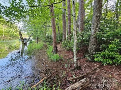 Parkway North Road, Mill Spring, NC 28756 photo 19