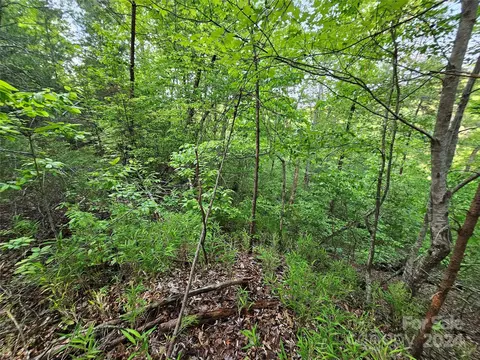 Parkway North Road, Mill Spring, NC 28756 photo 30
