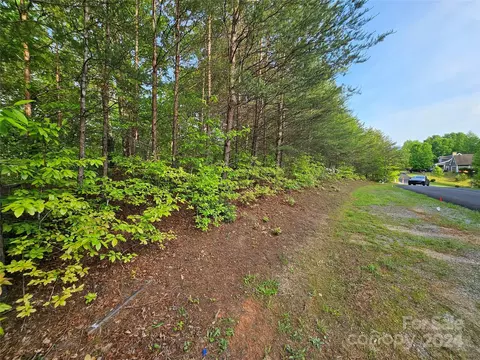 Parkway North Road, Mill Spring, NC 28756 photo 25