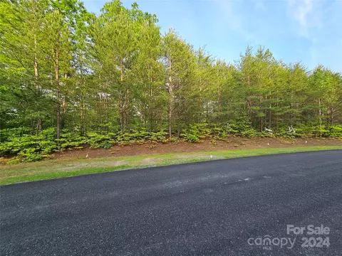 Parkway North Road, Mill Spring, NC 28756 photo 21