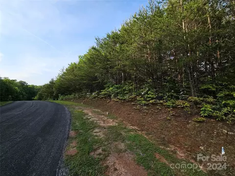 Parkway North Road, Mill Spring, NC 28756 photo 36