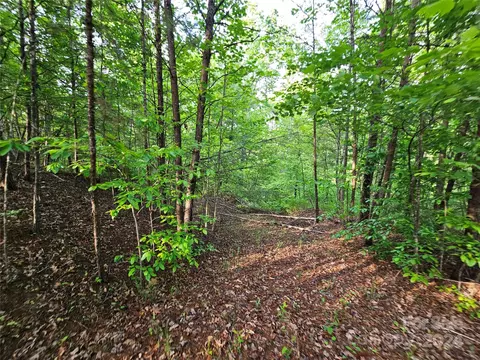 Parkway North Road, Mill Spring, NC 28756 photo 33