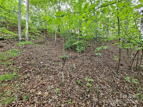Parkway North Road, Mill Spring, NC 28756 photo 26