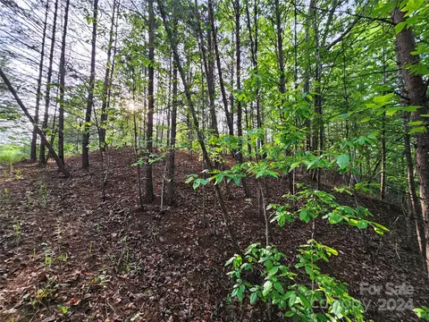 Parkway North Road, Mill Spring, NC 28756 photo 35