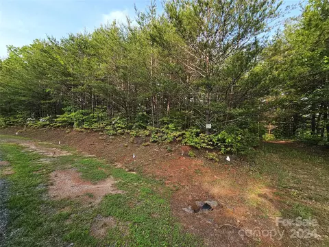 Parkway North Road, Mill Spring, NC 28756 photo 34