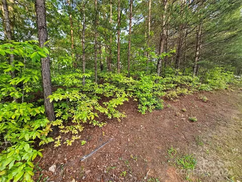Parkway North Road, Mill Spring, NC 28756 photo 28