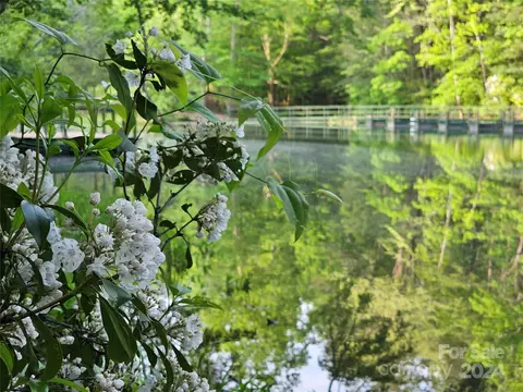 Parkway North Road, Mill Spring, NC 28756 photo 16