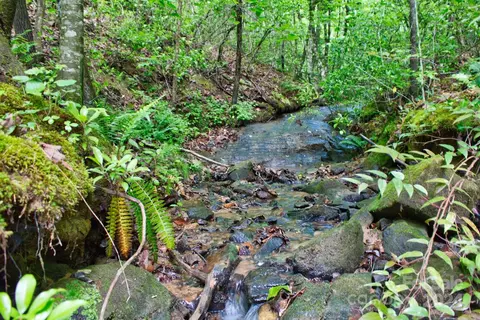 0 Juniper Creek 28 Dr #28, Lake Lure, NC 28746