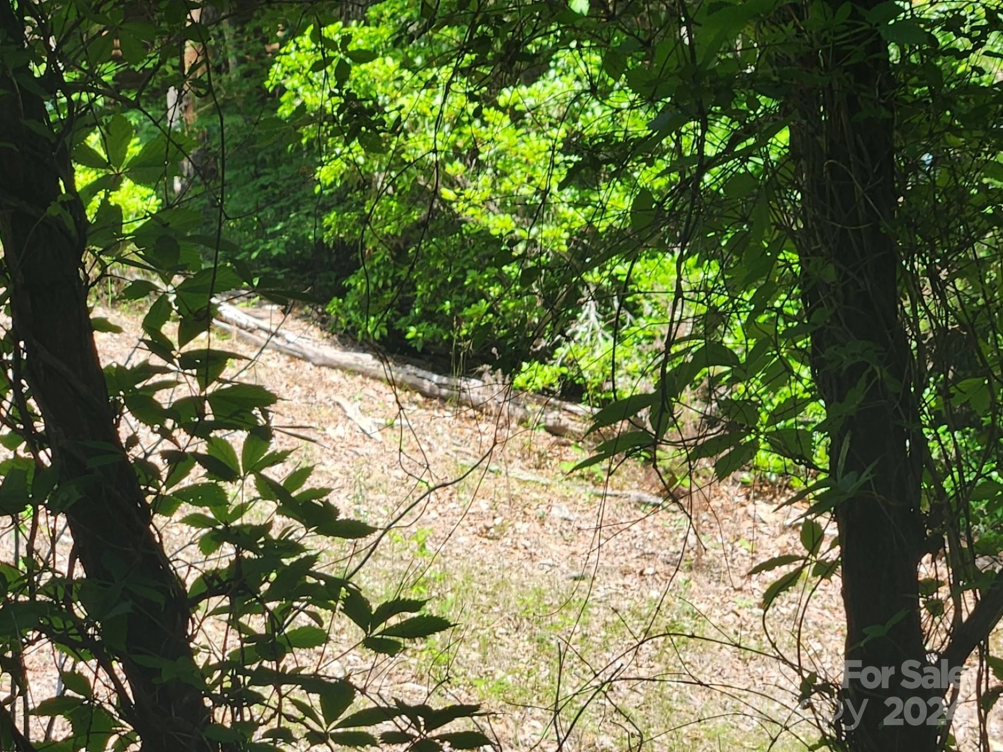 00 Hickory Nut 390 Ln Unit 390  