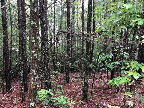 80 Deer Antler Road #80, Purlear, NC 28665 photo 10