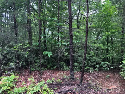 80 Deer Antler Road #80, Purlear, NC 28665 photo 11