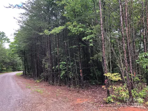 80 Deer Antler Road #80, Purlear, NC 28665 photo 13