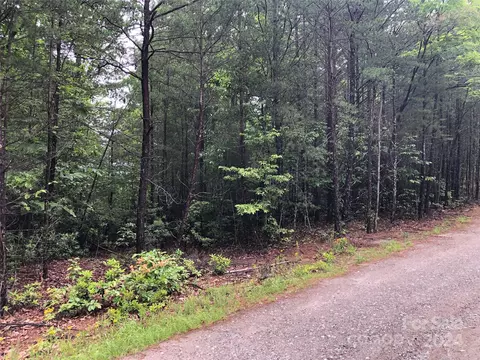 80 Deer Antler Road #80, Purlear, NC 28665 photo 8