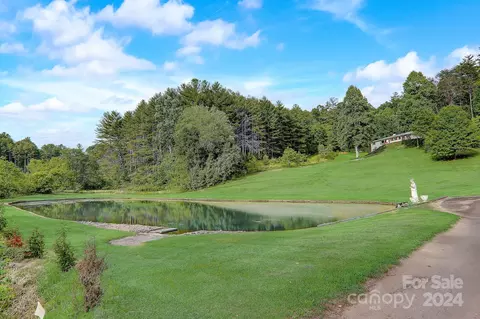 1157 Calvin Edney Rd, Mars Hill, NC 28754