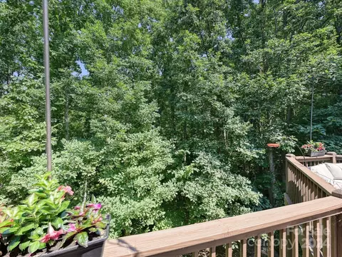 4931 Spring Chase Way, Davidson, NC 28036 photo 36