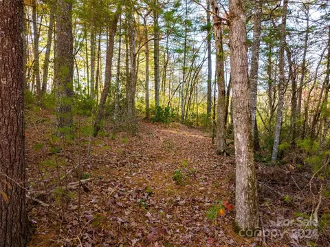 Alexander Crest Drive, Fairview, NC 28730 photo 5