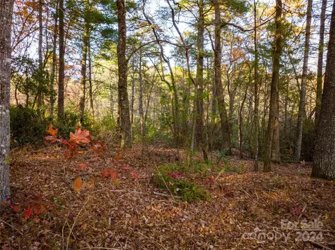 Alexander Crest Drive, Fairview, NC 28730 photo 2
